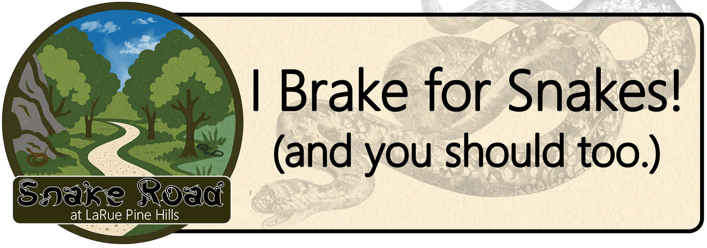 I Brake for Snakes Bumper Sticker
