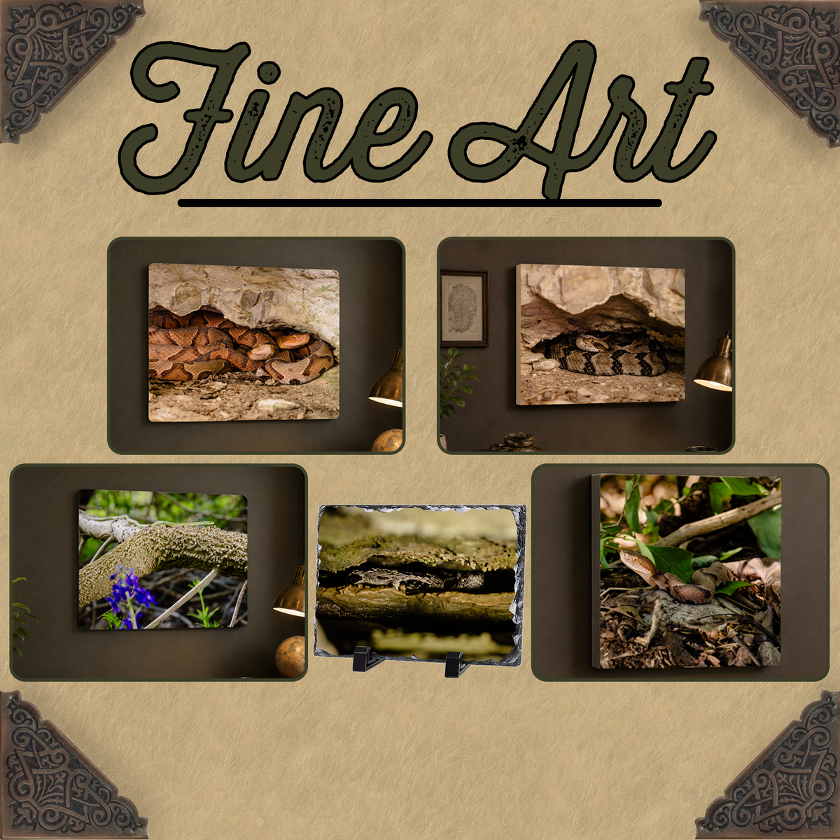 Fine Art Photography