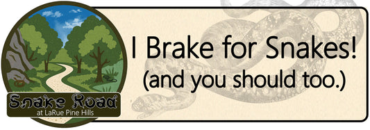 I Brake for Snakes Bumper Sticker