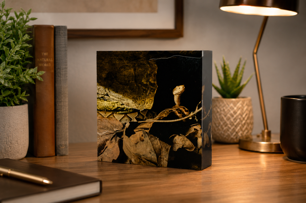 4" Acrylic Desk Art – Copperhead