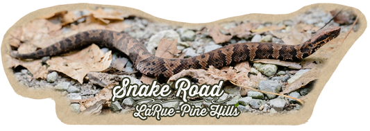 Cottonmouth Snake Sticker