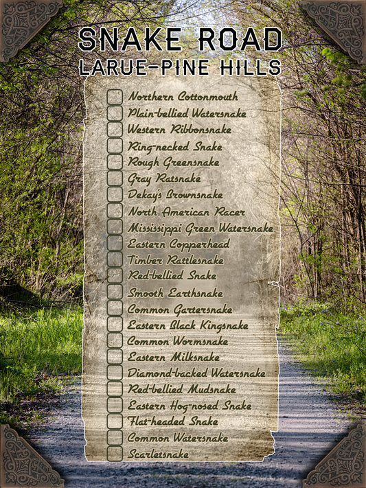 12x16 Snake Road Checklist Art (Photographic)