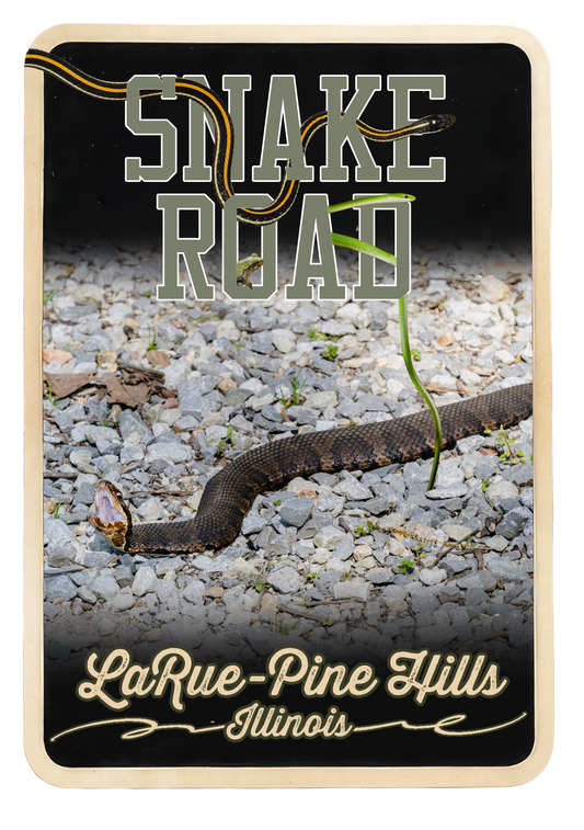 Snake Road Larue-Pine Hills Sticker