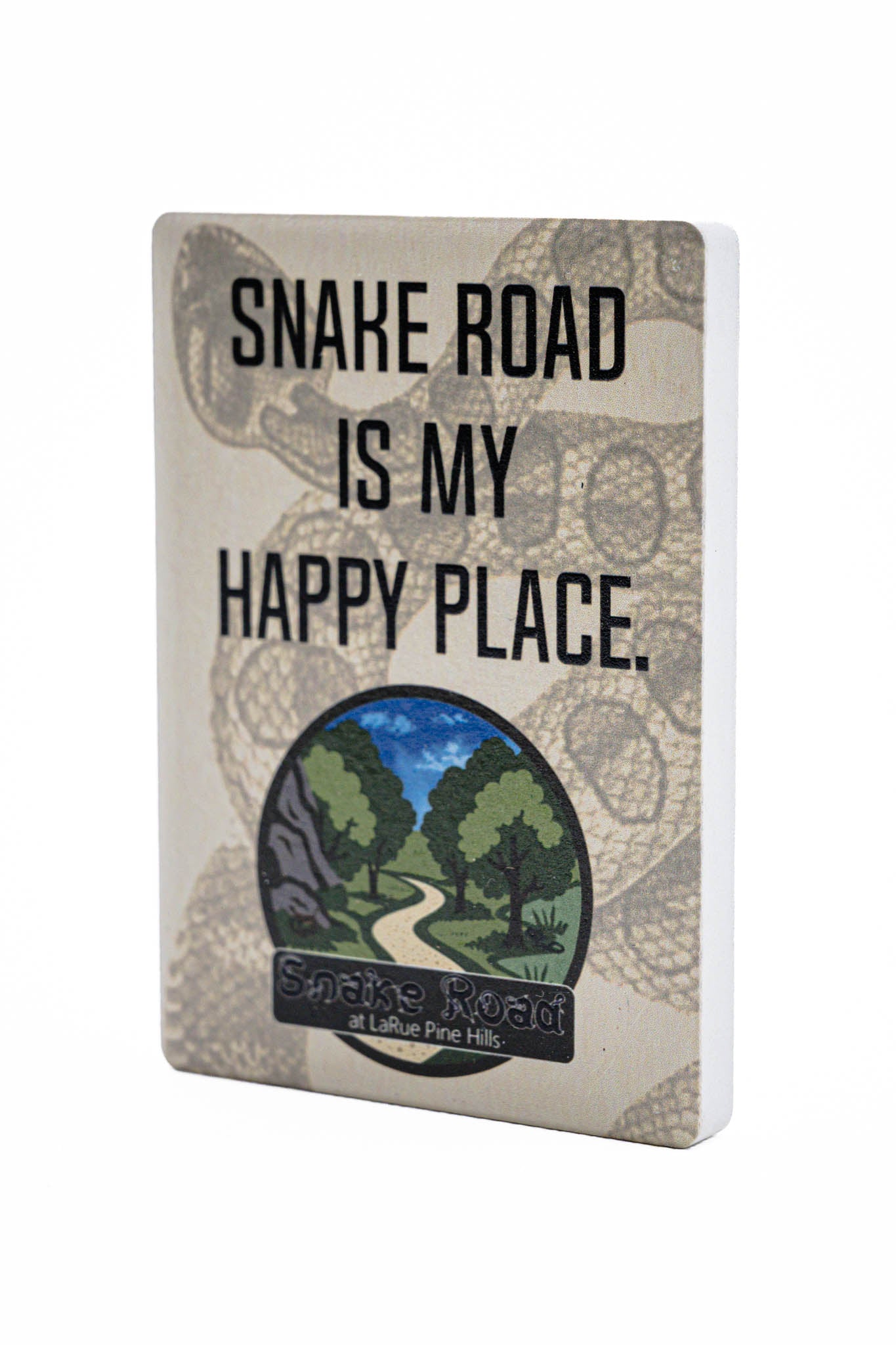 Snake Road Fridge Magnet