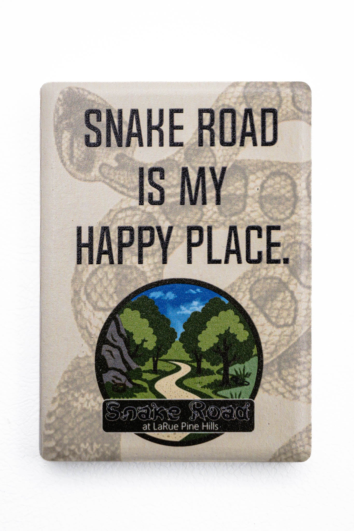 Snake Road Fridge Magnet